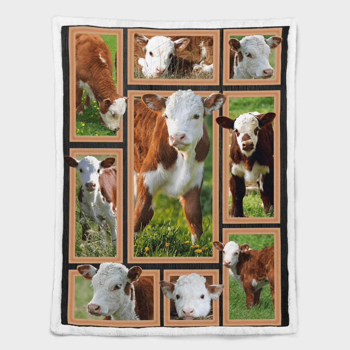 Cow Hereford Calves Blanket Quilt - Sherpa Blanket